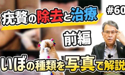 玛瑝的药效与用途玛珀-玛琥宁片的功效与作用网 - 为你提供玛琲是什么药是治疗什么的、玛瑝的药效与用途玛珀